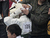 anjyou (107)_samu.gif